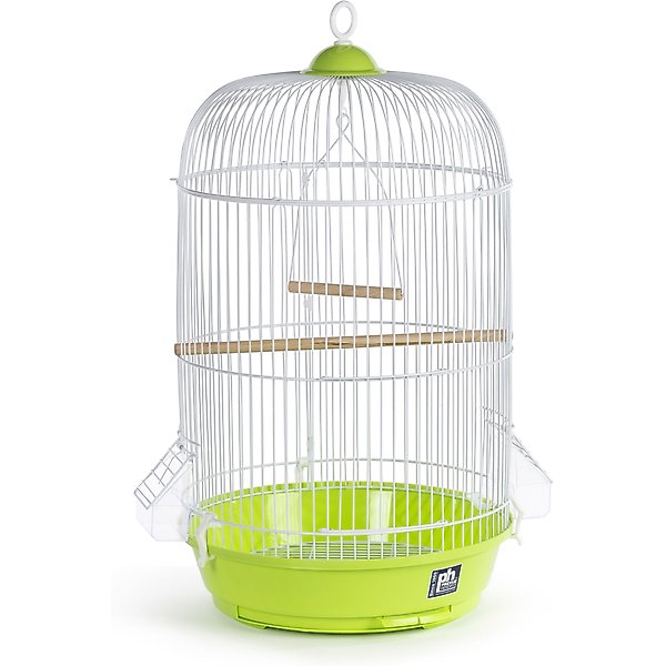 View of PREVUE PET PRODUCTS Small Round Bird Cage, Green - Chewy.com