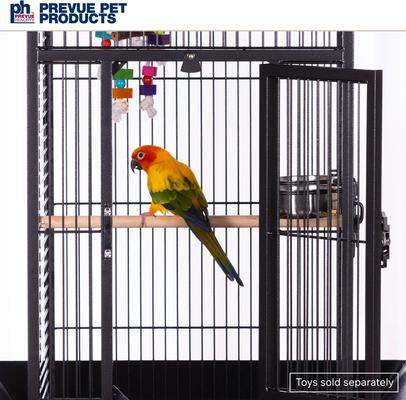 Show full view: Prevue Pet Products Small Select Parrot Cage, Black slide 8 of 10