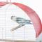 Show in main carousel: Prevue Pet Products Southbeach Dome Top Bird Cage, Coral/White slide 4 of 9