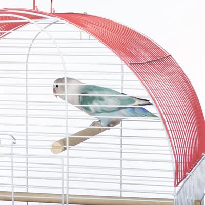 Show full view: Prevue Pet Products Southbeach Dome Top Bird Cage, Coral/White slide 4 of 9