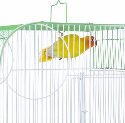 Show full view: Prevue Pet Products Southbeach Flat Top Bird Cage, Green slide 8 of 10