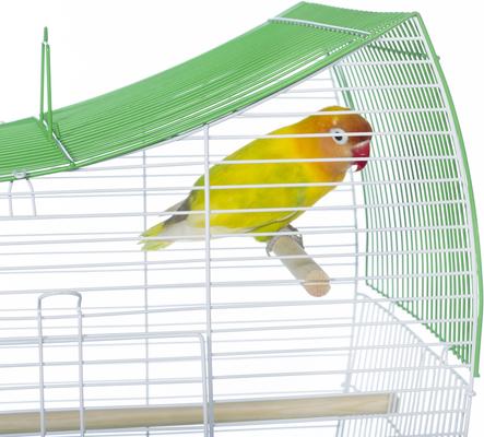 Show full view: Prevue Pet Products Southbeach Wave Top Bird Cage, Green/White slide 4 of 9