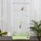 Show in main carousel: Prevue Pet Products Tall Tiel Bird Cage, Green slide 4 of 10