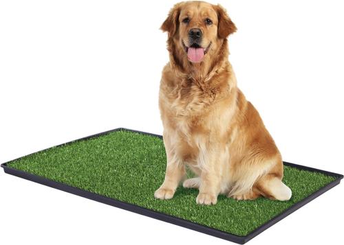 Show full view: Prevue Pet Products Tinkle Turf System for Dogs, Large slide 1 of 11