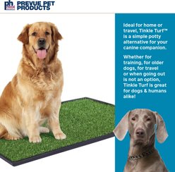 Prevue Pet Products Tinkle Turf System for Dogs, Large slide 2 of 9