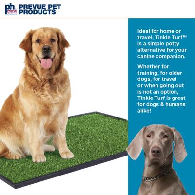 Show full view: Prevue Pet Products Tinkle Turf System for Dogs, Large slide 2 of 11