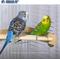 Show in main carousel: Prevue Pet Products Wood Corner Bird Cage Shelf, 7-in slide 5 of 11