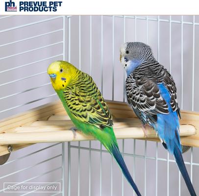 Show full view: Prevue Pet Products Wood Corner Bird Cage Shelf, 7-in slide 8 of 11