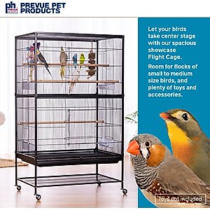 Prevue Pet Products Wrought Iron Small & Medium Birds Flight Cage, Black Hammertone