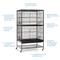 Show in main carousel: Prevue Pet Products Wrought Iron Small & Medium Birds Flight Cage, Black Hammertone slide 3 of 11