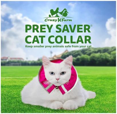 Show full view: Prey Saver Break Away Cat Collar, One Size, Flamingo Pink slide 2 of 7