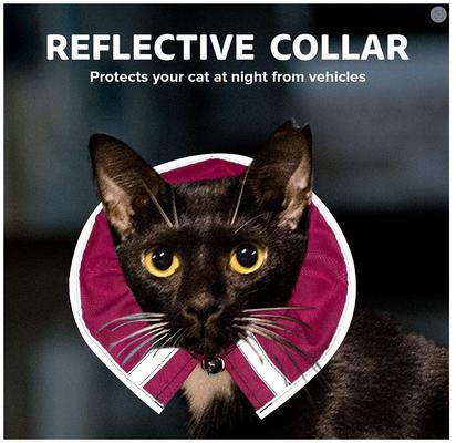 Show full view: Prey Saver Break Away Cat Collar, One Size, Flamingo Pink slide 4 of 7