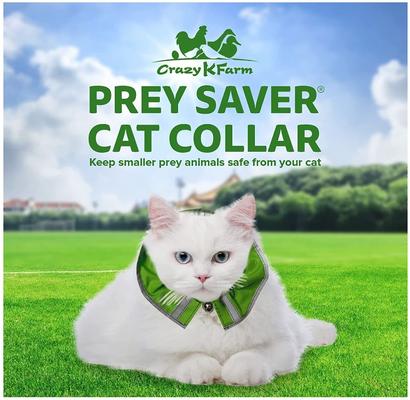 Show full view: Prey Saver Break Away Cat Collar, One Size, Loud Lime slide 2 of 6