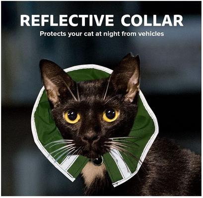 Show full view: Prey Saver Break Away Cat Collar, One Size, Loud Lime slide 4 of 6