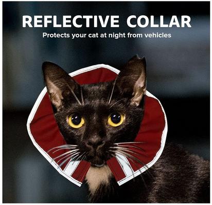 Show full view: Prey Saver Break Away Cat Collar, One Size, Outrageous Orange slide 4 of 6