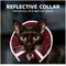 Show in main carousel: Prey Saver Break Away Cat Collar, One Size, Red Bandana slide 4 of 7