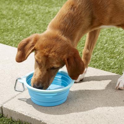 Show full view: Prima Pets Collapsible Silicone Travel Dog & Cat Bowl with Carabiner, Aqua, 5-cup slide 2 of 8