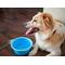 Show in main carousel: Prima Pets Collapsible Silicone Travel Dog & Cat Bowl with Carabiner, Aqua, 5-cup slide 6 of 8