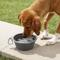 Show in main carousel: Prima Pets Collapsible Silicone Travel Dog & Cat Bowl with Carabiner, Large, Grey slide 2 of 7