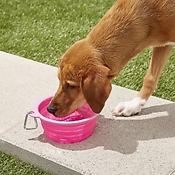 Prima Pets Collapsible Silicone Travel Dog & Cat Bowl with Carabiner, Large, Pink slide 2 of 6