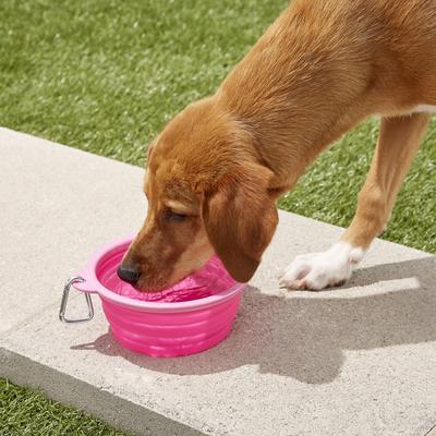 Show full view: Prima Pets Collapsible Silicone Travel Dog & Cat Bowl with Carabiner, Large, Pink slide 2 of 8