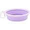Show in main carousel: Prima Pets Collapsible Silicone Travel Dog & Cat Bowl with Carabiner, Large, Purple slide 3 of 8