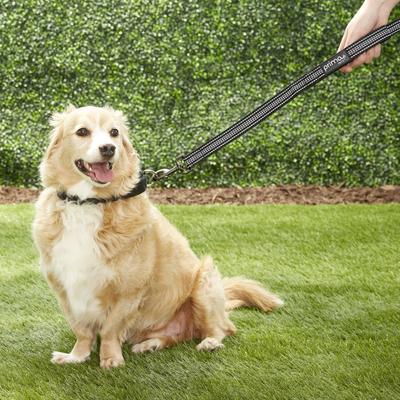 Show full view: Prima Pets Dual-Handle Reflective Dog Leash, Large, 4-ft, Black slide 7 of 10