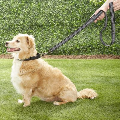 Show full view: Prima Pets Dual-Handle Reflective Dog Leash, Large, 4-ft, Black slide 8 of 10