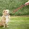Show in main carousel: Prima Pets Dual-Handle Reflective Dog Leash, Large, 4-ft, Red slide 8 of 11