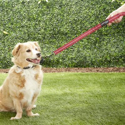 Show full view: Prima Pets Dual-Handle Reflective Dog Leash, Large, 4-ft, Red slide 8 of 11