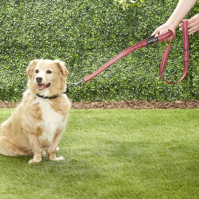 Show full view: Prima Pets Dual-Handle Reflective Dog Leash, Large, 4-ft, Red slide 9 of 11