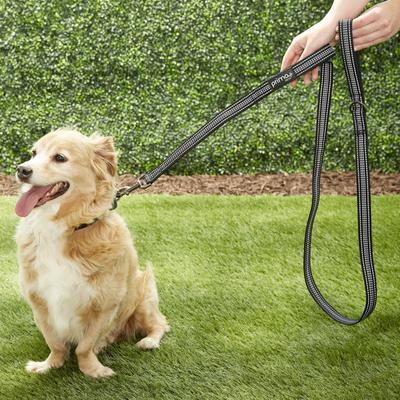 Show full view: Prima Pets Dual-Handle Reflective Dog Leash, Large, 6-ft, Black slide 7 of 10
