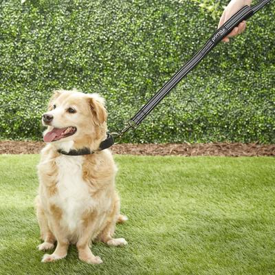 Show full view: Prima Pets Dual-Handle Reflective Dog Leash, Large, 6-ft, Black slide 8 of 10