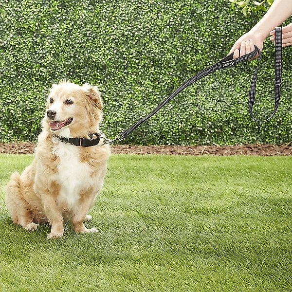 Show full view: Prima Pets Dual-Handle Reflective Dog Leash, Medium, 4-ft, Black slide 8 of 10