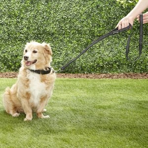 Prima Pets Dual-Handle Reflective Dog Leash, Medium, 4-ft, Black