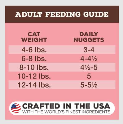 Show full view: Primal Beef & Salmon Formula Nuggets Grain-Free Raw Freeze-Dried Cat Food, 5.5-oz bag slide 9 of 11