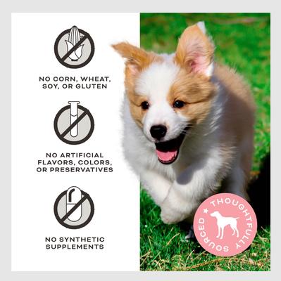 Show full view: Primal Give Pieces A Chance Beef with Broth Flavored Jerky Dog Treats, 4-oz bag slide 6 of 10