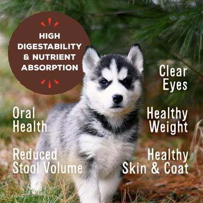 Show full view: Primal Raw Pronto Puppy Recipe Dog Freeze-Dried Food, 16-oz bag slide 5 of 11