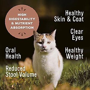 Primal Venison Nuggets Grain-Free Raw Freeze-Dried Cat Food, 14-oz bag