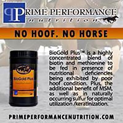 Show full view: Prime Performance Nutrition BioGold Plus Hair & Hoof Support Pellet Horse Supplement, 3-lb canister slide 3 of 4