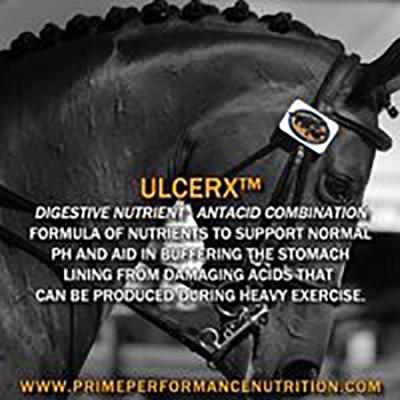 Show full view: Prime Performance Nutrition UlcerX Digestive Nutrient Combination Powder Horse Supplement, 10-lb pail slide 3 of 4