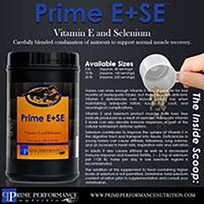 Show full view: Prime Performance Nutrition Vitamin E & Selenium Powder Comprehensive Supplement for Horses, 3-lb tub slide 3 of 4