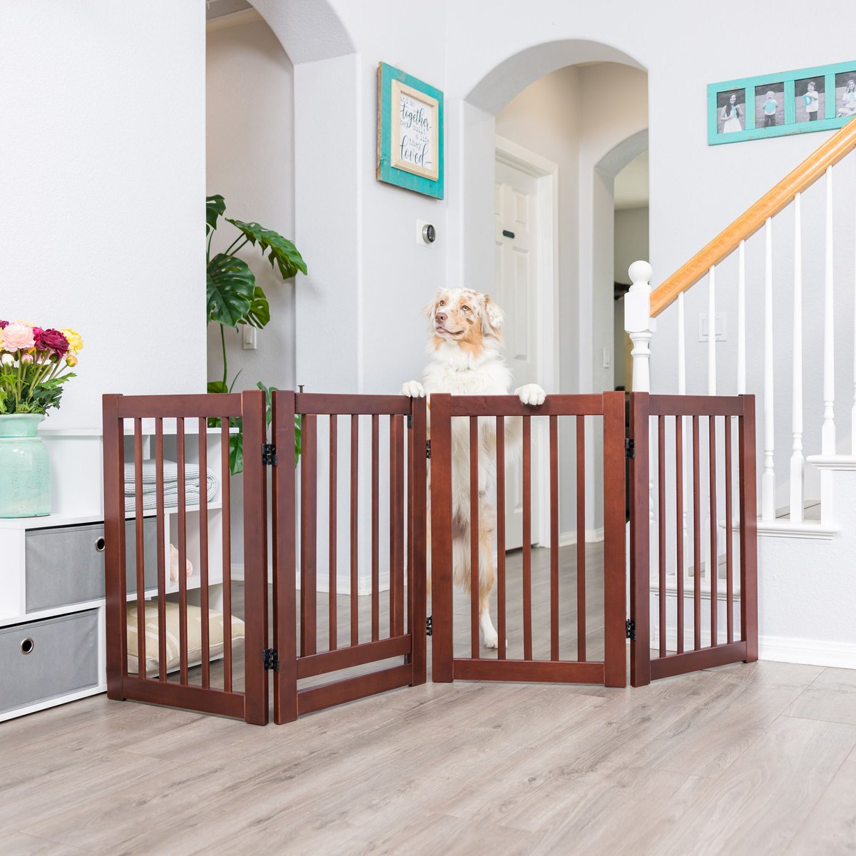 Configurable Gate PRIMETIME PETZ 360 Configurable Gate with Door, 30-in, Walnut - Chewy.com