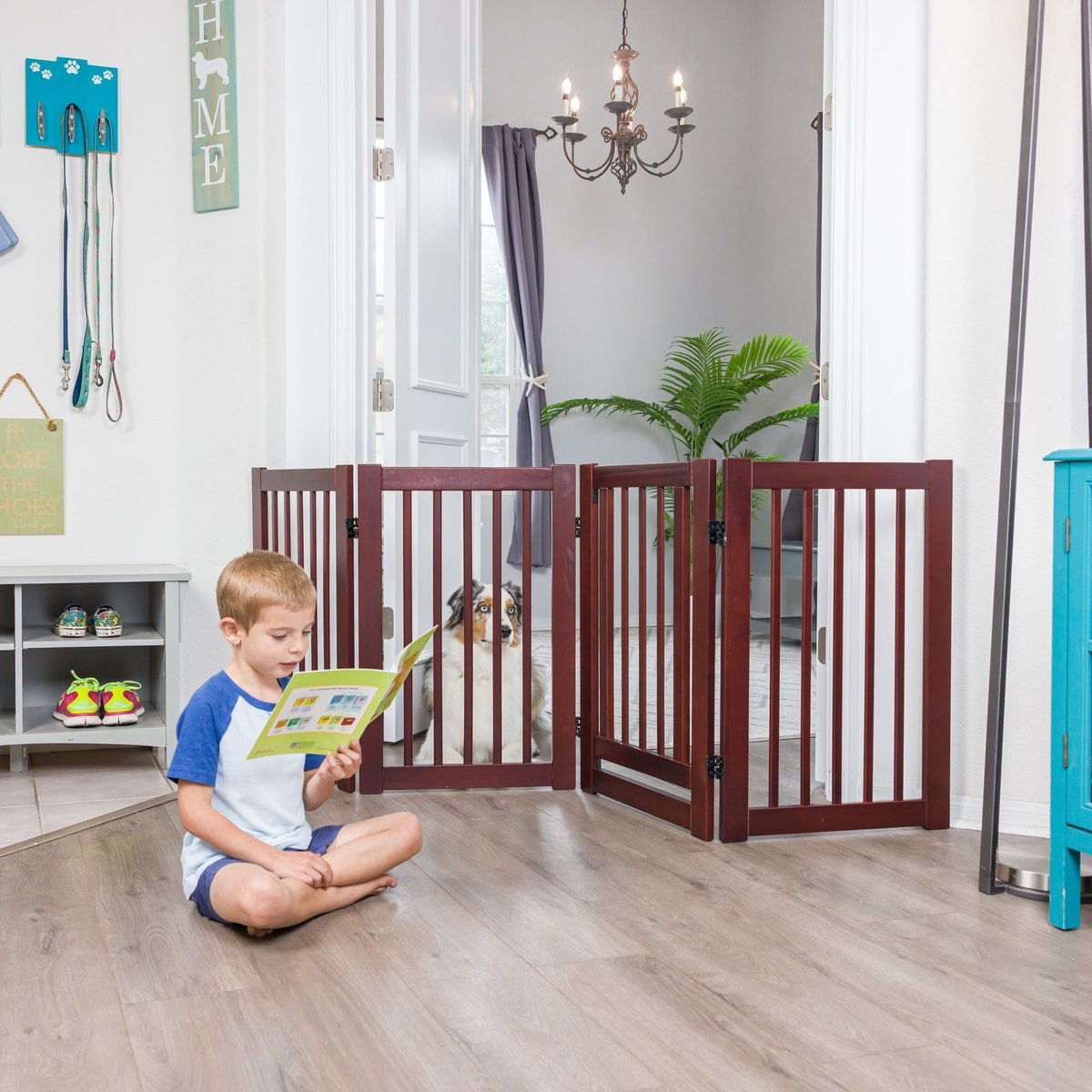 Configurable Gate PRIMETIME PETZ 360 Configurable Gate with Door, 30-in, Walnut - Chewy.com