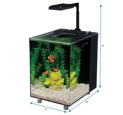 Show full view: Prism Desktop Aquarium, 2-gal, Black slide 3 of 4