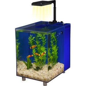 Acquario SpongeBob Penn-Plax | 0.7 Litri | Per Betta E Pesci Rossi | Design Sicuro In Plastica - Foto 1