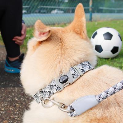 Show full view: Pro Active Adjustable Woven Reflective Standard Dog Collar, Grey Scale, Large: 18 to 26-in neck, 1-in wide slide 6 of 8