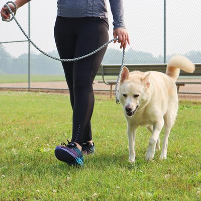 Show full view: Pro Active Adjustable Woven Reflective Standard Dog Collar, Grey Scale, Medium: 12 to 18-in neck, 3/4-in wide slide 7 of 8