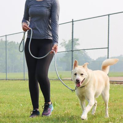 Show full view: Pro Active Adjustable Woven Reflective Standard Dog Collar, Grey Scale, Medium: 12 to 18-in neck, 3/4-in wide slide 3 of 8