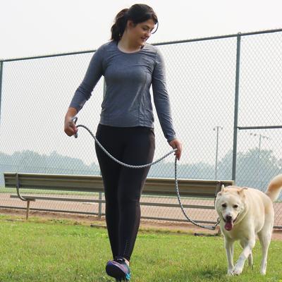 Show full view: Pro Active Adjustable Woven Reflective Standard Dog Collar, Grey Scale, Small: 8 to 12-in neck, 5/8-in wide slide 4 of 7